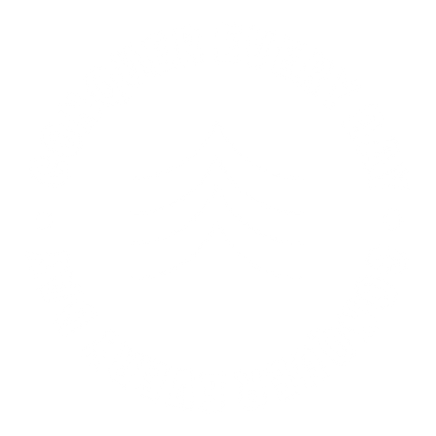 Conquer Every Day